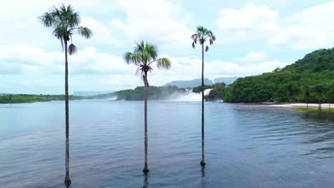 The-palm-trees-lining-Canaima-Lagoon-create-a-picturesque-scene,-their-reflections-dancing-on-the-water's-surface,-enhancing-the-lagoon's-tranquil-and-idyllic-atmosphere