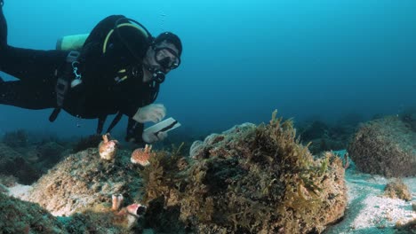 Scuba-Diver-Científico-Ciudadano-Marino-Nadando-Sobre-La-Gran-Barrera-De-Coral-Mientras-Registra-Datos-En-Una-Pizarra-Submarina