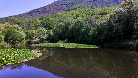 A-serene-lake-nestled-in-the-Crimean-mountains,-surrounded-by-lush-greenery-and-reflecting-the-clear-blue-sky