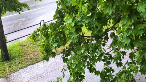 Atmospheric-video-of-rainstorm-in-a-city