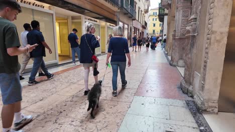 City-visitors,-people-with-dogs,-tourists-and-locals,-walking-inside-old-city-centre-in-Verona,-Italy