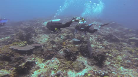 Two-scuba-divers-explore-a-coral-reef-in-Raja-Ampat,-Indonesia,-swimming-side-by-side