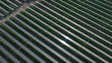 A-large-solar-panel-farm-with-sunlight-reflecting-on-the-panels,-aerial-view