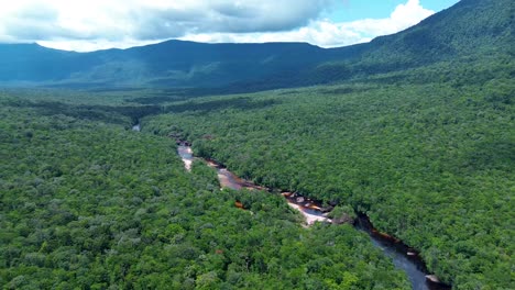 great-view-of-the-churun-river-and-its-imposing-jungle-inside-auyán-tepui