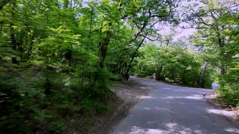 A-scenic-drive-through-a-forested-road-in-Crimea-on-a-sunny-day