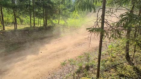 WRC-car-fly's-by-in-slow-motion