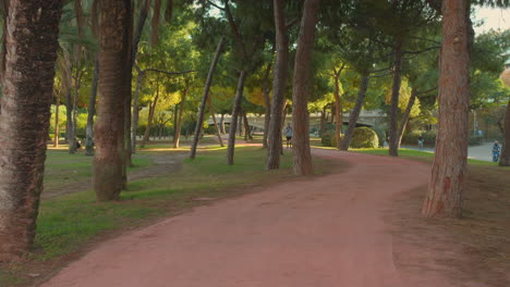 Pathway-through-the-lush-Turia-Gardens-in-Valencia,-Spain,-with-tall-trees-on-a-sunny-day