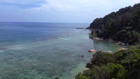 Turquoise-ocean-water-meeting-a-rocky-shore-with-a-lush-green-jungle-forest-on-a-tropical-island