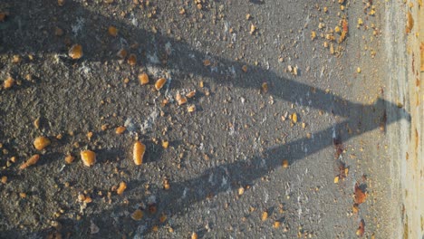 Sombra-Caminante-De-Una-Persona-A-Lo-Largo-De-La-Carretera-Con-Hojas-Dispersas-Durante-La-Puesta-De-Sol,-ángulo-Bajo-Vertical