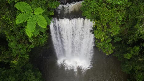 Aerial-View-of-Tropical-Waterfall-and-Natural-Pool-in-Green-Jungle,-Drone-Shot