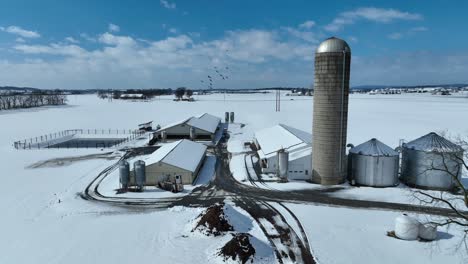 Aerial-flyover-sprawling-dairy-farm-in-winter-snow-during-sunlight