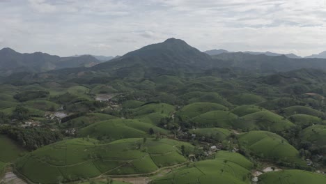 Long-Coc-Tea-Hill-En-Un-Hermoso-Día-Soleado,-Vietnam