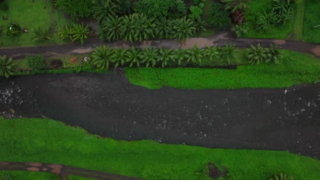 Birdseye-end-of-the-road-Teahupoo-Tahiti-French-Polynesia-aerial-drone-mountains-river-morning-grey-gray-raining-fog-season-wet-green-grass-palm-trees-Point-Faremahora-village-town-island-forward