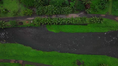 Vogelperspektive-Ende-Der-Straße-Teahupoo-Tahiti-Französisch-Polynesien-Luftdrohne-Berge-Fluss-Morgen-Grau-Regnet-Nebel-Jahreszeit-Nass-Grün-Gras-Palmen-Punkt-Faremahora-Dorf-Stadt-Insel-Vorwärts