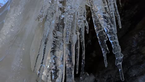 Icicle-dripping-water,-ice-melting-in-spring,-global-warming-close-up