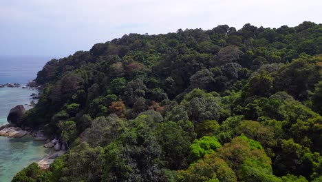 Agua-Turquesa-Que-Baña-Suavemente-Una-Playa-De-Arena-Rodeada-De-Rocas-De-Granito-Y-Exuberante-Vegetación-Tropical.