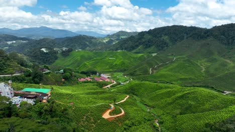 Malaysian-countryside-scenery,-lush-organic-crop-fields,-plantations