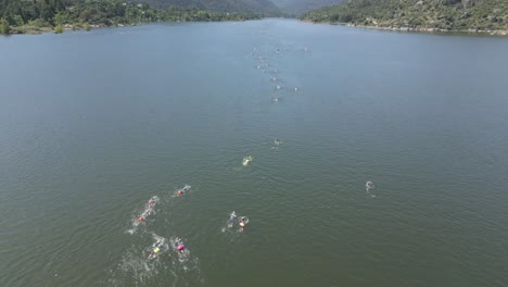 Drone-flight-in-the-Burguillo-reservoir-where-a-swimming-resistance-test-is-carried-out,-we-see-a-large-number-of-participating-swimmers-with-their-buoys-and-an-assistant-on-a-surfboard