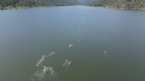 Vuelo-Con-Dron-En-El-Embalse-Del-Burguillo-Donde-Se-Realiza-Una-Prueba-De-Resistencia-A-La-Natación,-Vemos-Un-Gran-Número-De-Nadadores-Participantes-Con-Sus-Boyas-Y-Un-Asistente-En-Una-Tabla-De-Surf