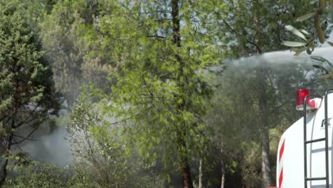 Slow-motion-120-fps,-municipality-crew-spraying-water-on-pine-trees-to-prevent-spreading-of-forest-fire