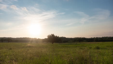 Zeitraffer-Des-Sonnenaufgangs-Am-Morgen-über-Einer-Ranchweide-Im-Texanischen-Bergland