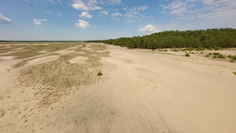 FPV-Drohne-In-Der-Polnischen-Wüste,-Abholzung-Der-Bledowska-Wüste