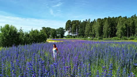 Drone-Aéreo-Disparó-Sobre-Una-Mujer-Parada-En-Medio-De-Un-Campo-De-Flores-De-Lupino-Al-Lado-De-Una-Carretera-En-Un-Hermoso-Día-De-Primavera