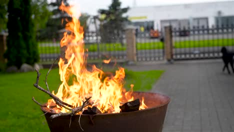 Slowly-moving-shot-of-a-fire-burning-in-a-fireplace-with-wood-and-sticks-burning-during-the-daytime-in-summer-while-a-dog-is-moving-and-walking-in-the-background