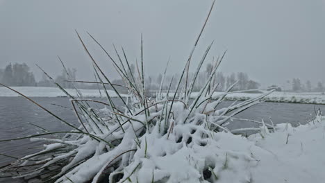 Shore-of-a-lake-in-winter-while-snowing-slow-motion-truck-shot