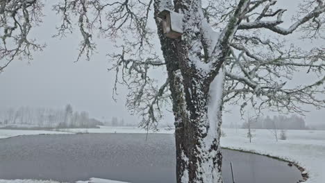 Snow-covered-lake-and-trees-create-a-serene-winter-scene-with-a-peaceful-atmosphere