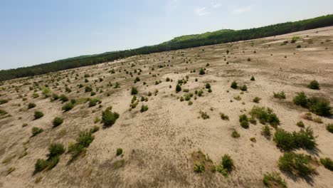 Bosque-Y-Desierto,-Deforestación-En-El-Desierto-Vista-De-Drones-Błędowska