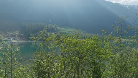 Pile-of-logs-beside-green-trees-with-a-serene-mountain-lake-backdrop-and-kayaker-in-Olden,-Norway