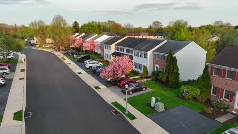 Charming-neighborhood-with-pink-trees-and-parking-cars-during-spring-season