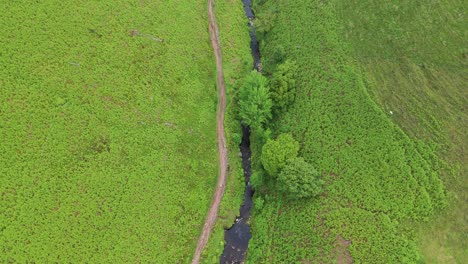 Aerial-shot-of-grass-covered-fields-in-Dane-Valley-during-daytime-in-UK