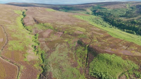 High-angle-view-of-green-hills-at-Errwood-reservoir-in-Derbyshire,-England-during-daytime