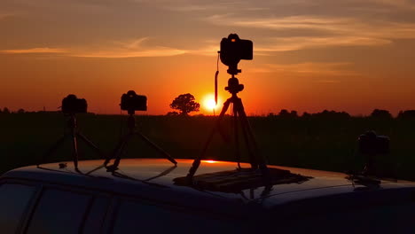 Digital-camera-photographing-wildlife-in-the-meadow-at-sunset
