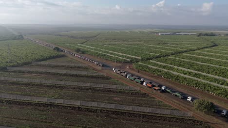 Eine-Drohne-Fängt-Eine-Szene-Ein,-In-Der-Eine-Große-Anzahl-Von-Lastwagen-In-Einer-Langen-Schlange-Auf-Einer-Autobahn-Vor-Einem-Grenzposten-Feststeckt