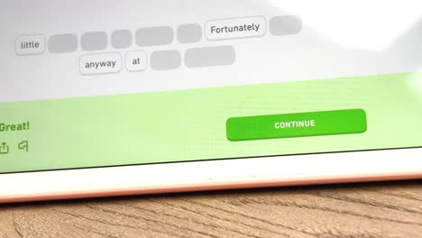 Continue-Button-on-the-Duolingo-Tablet-App