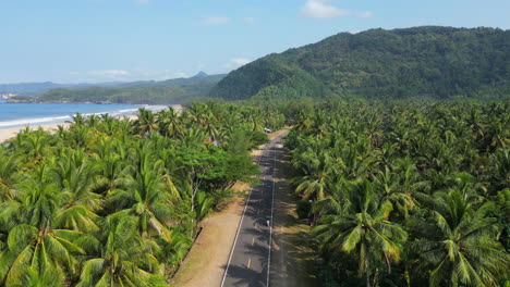 Roller-Fahren-Entlang-Der-Küstenstraße-Mit-Palmen-Auf-Beiden-Seiten-In-Pantai-Soge-In-Der-Nähe-Von-Pacitan,-Indonesien