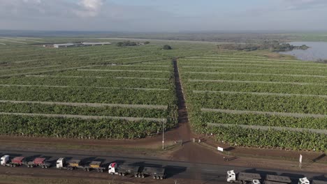 Vista-Aérea-De-Un-Gran-Número-De-Camiones-De-Carga-Atrapados-En-Una-Larga-Cola-En-Una-Carretera-Frente-A-Un-Puesto-Fronterizo