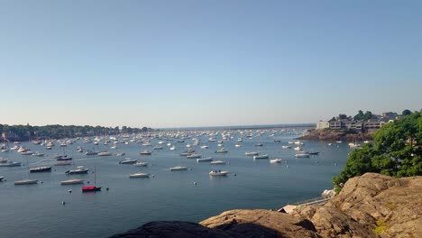 Many-boats-moored-at-Salem-Marina