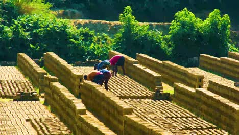 Workers-taking-care-of-raw-bricks-at-brick-field-in-Bangladesh