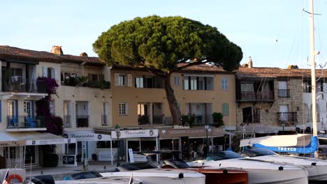 Frech-restaurants-in-Port-Grimaud-with-yachts-and-pine-tree