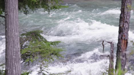 Close-Up-View-of-the-River-Through-the-Trees-in-Glacier-National-Park-in-Montana-in-Summer