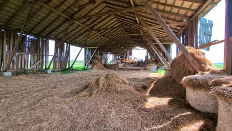Hay-storage-barn-is-almost-empty-by-spring---panorama