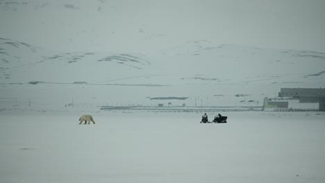 A-mother-Polar-Bear-and-her-Cub-move-across-an-icy-landscape-in-Svalbard