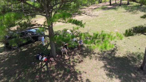 An-aerial-view-captures-a-group-of-people-camping-in-a-dense-pine-jungle