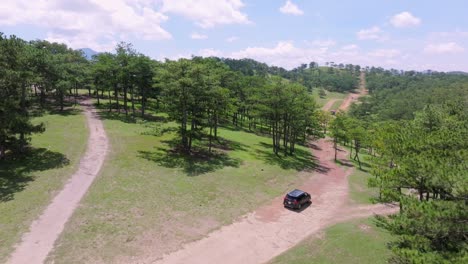 Un-Todoterreno-Negro-Conduce-Cuesta-Arriba-Por-Una-Carretera-Sinuosa-Rodeada-Por-Un-Denso-Bosque-De-Pinos