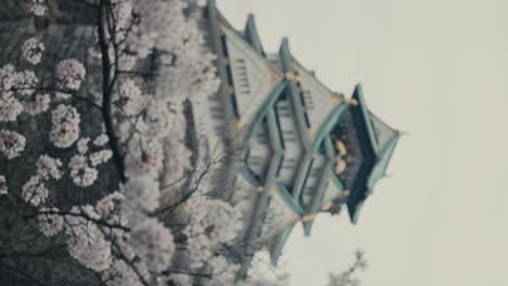 Vertical---Racking-Focus-On-Cherry-Blossoms-And-Osaka-Castle-In-Spring-In-Osaka,-Japan