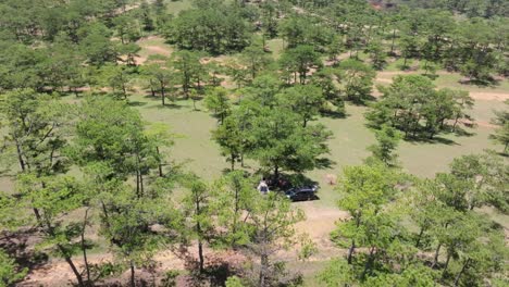 An-aerial-view-captures-a-group-of-people-camping-in-a-dense-pine-jungle